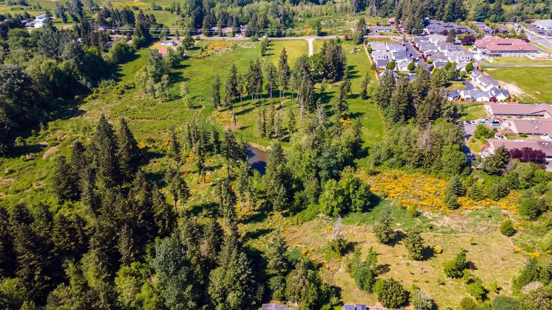 65006809-14