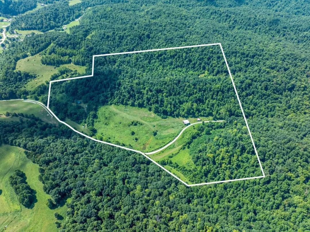 Brumfield Rd - 71 acres