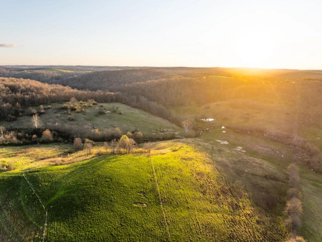 Nickel Valley Farm