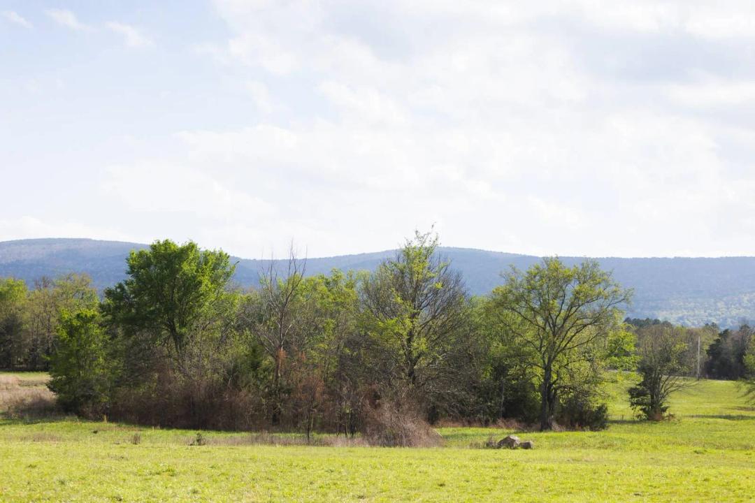 120 acres near Talihina, Ok