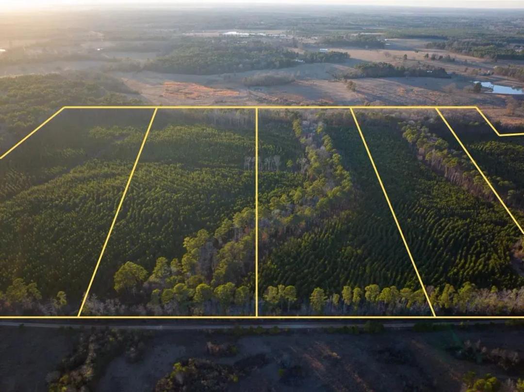 23 Acres | T-6 | County Road 4415 | 3878