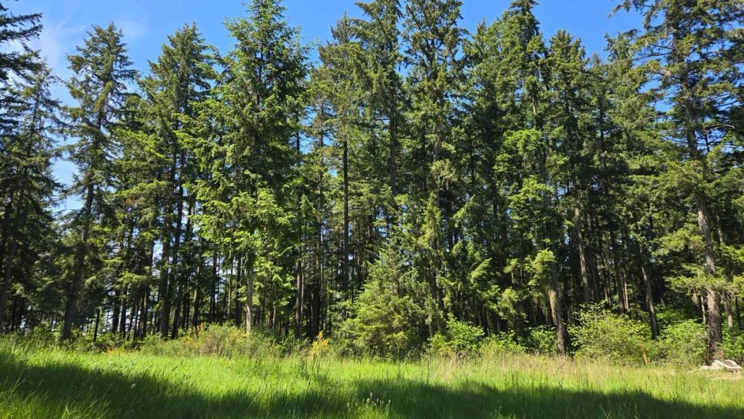 Olympia Vacant Land - 1.9 acres