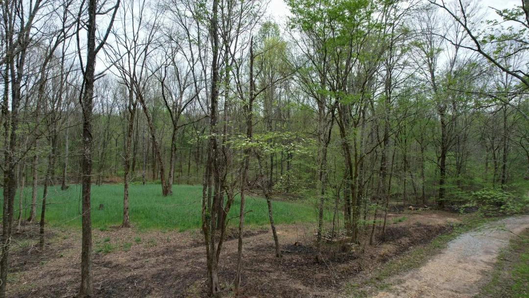 Lane Spring Rd Getaway - 47 Acres Colbert Co.