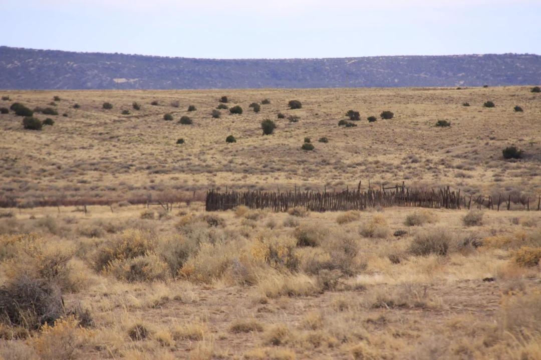 35.75 Acres, Apache, Arizona 204-64-811