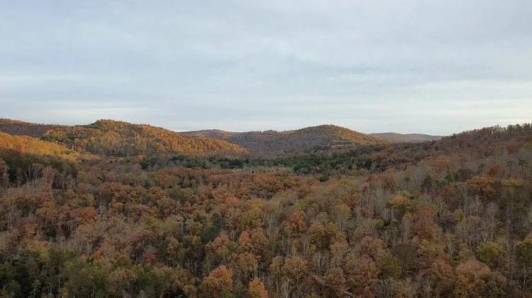 Secluded Hunting Tract on Little South Fork River - Kentucky