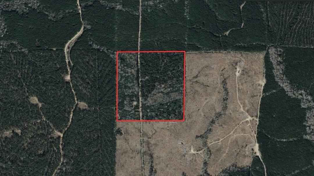 40 ACRES+- CALDWELL PARISH, LA