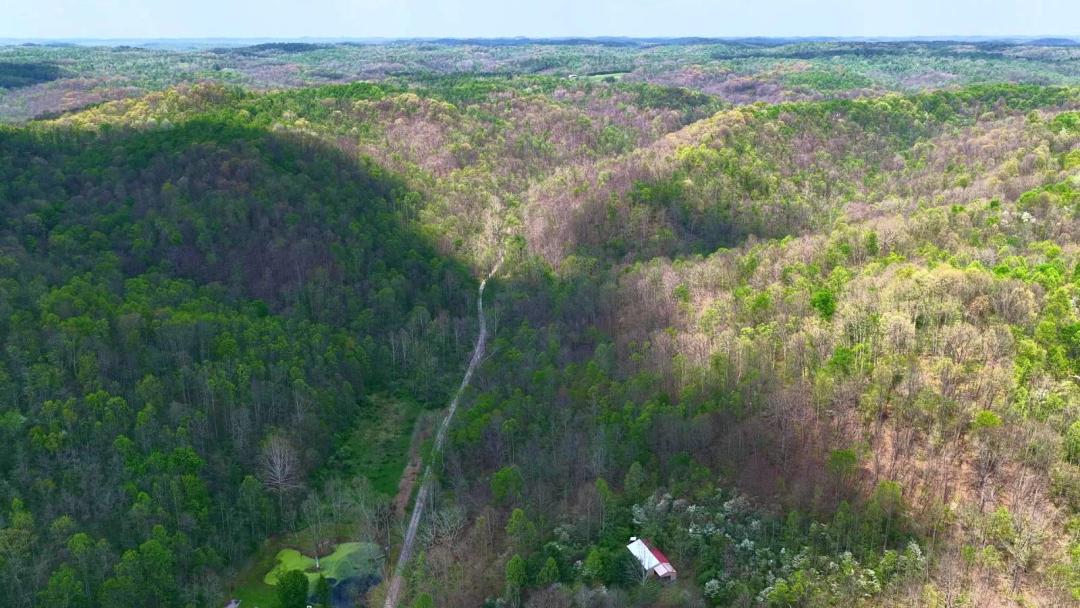 Noble County Ohio Land for Sale | Own Both Sides of the Road