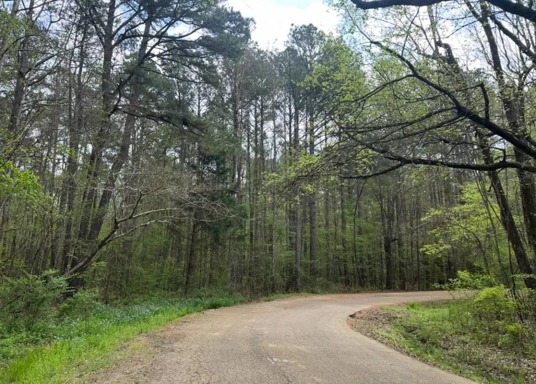 29 Acres +/- on Pat Luckett Rd, Canton, MS (Madison County)