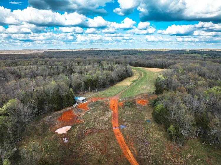 Engledow Timber & Pasture