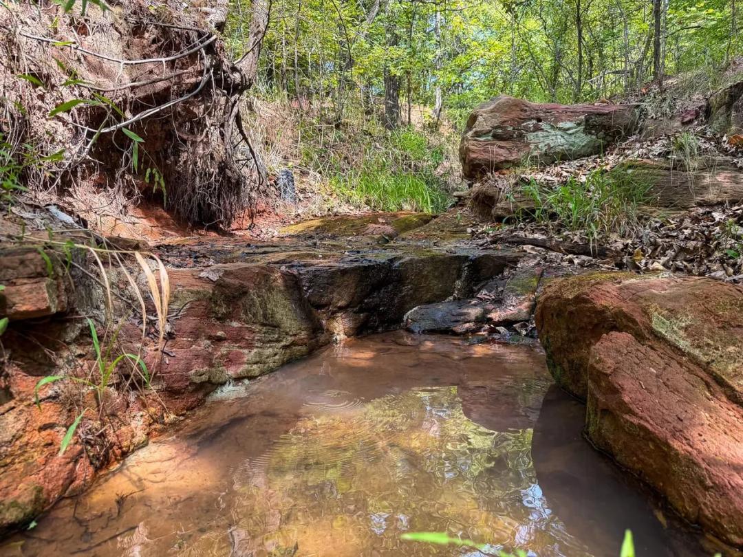 Waterfalls, Creeks, and Deer