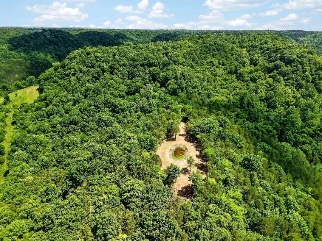 121 Acres of Farmland & Hunting in Baxter, TN for Sale