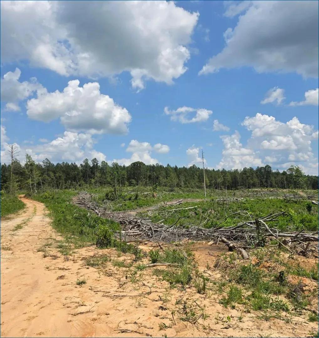 80 Acres in Choctaw County in Ackerman, MS