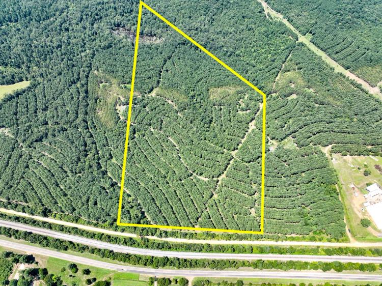 90 Acres | County Road 9070 | T-3 & T-4