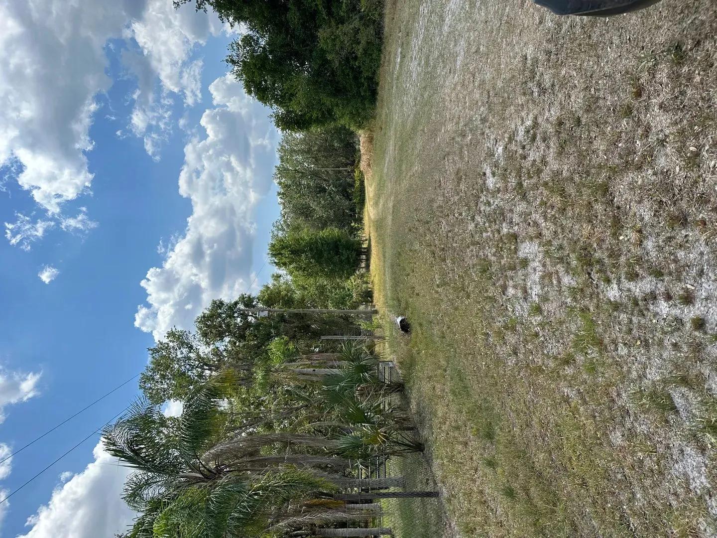 65242702-5