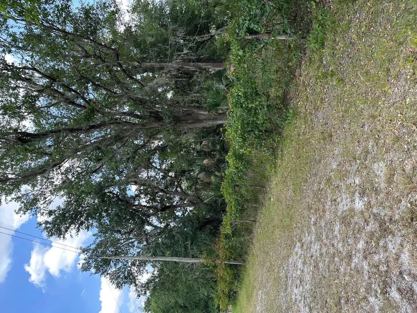 65242702-7