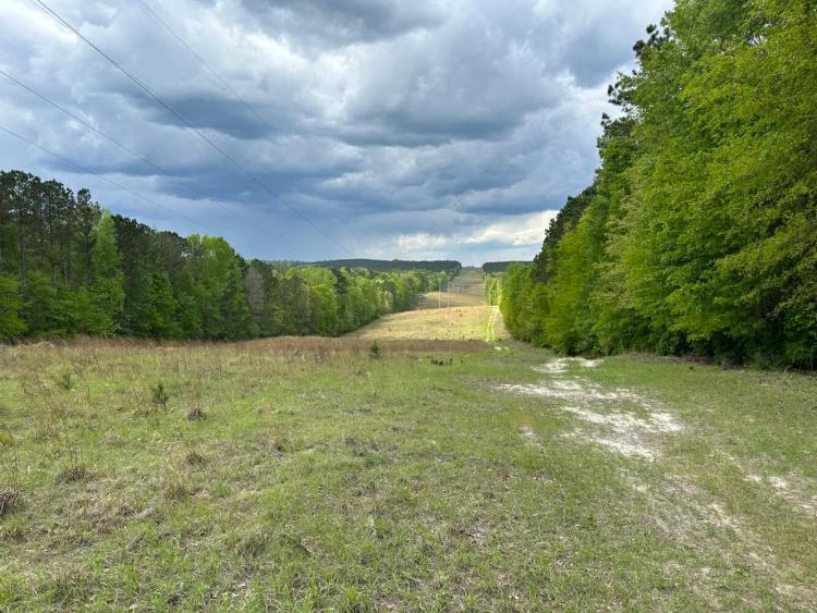 276.21 Acres at 0 Ga Highway 57