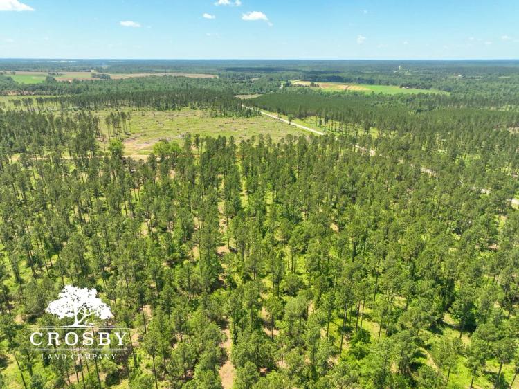 Spread Oak Estates Lot 3