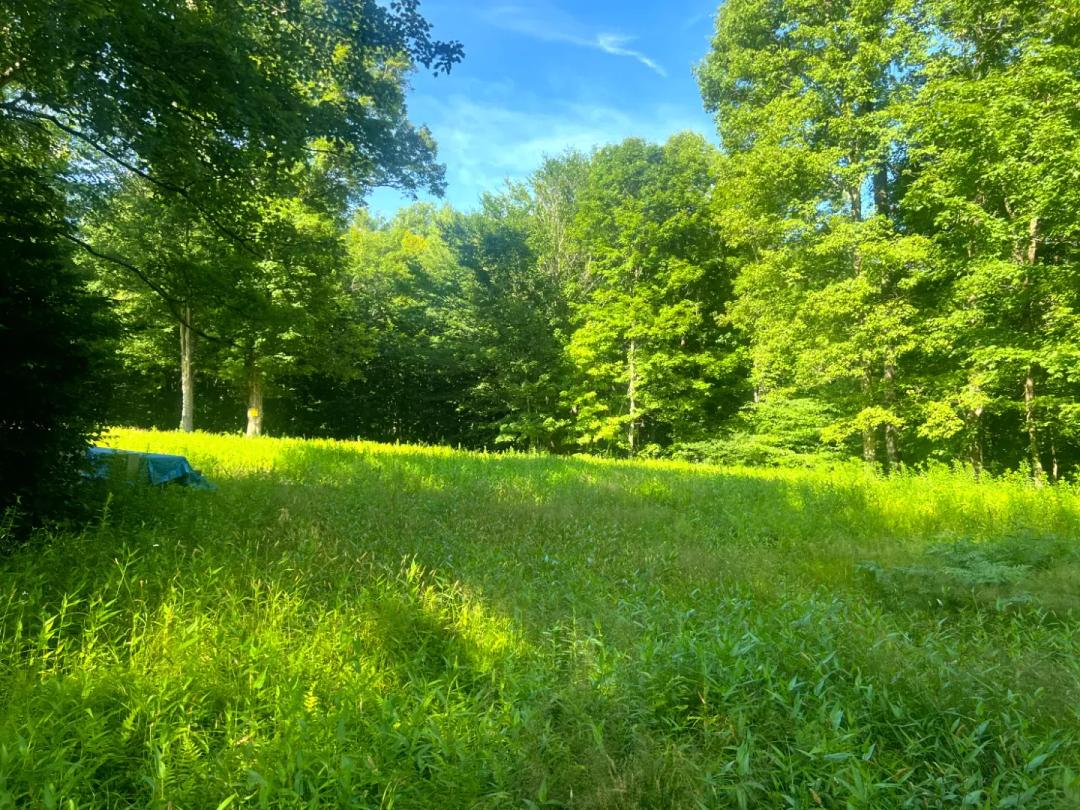 Hemlock Hollow Trail