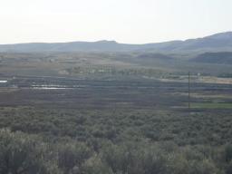65305036-3
