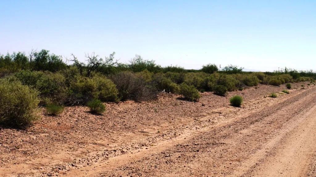 Half acre unimproved residential parcel Southern New Mexico