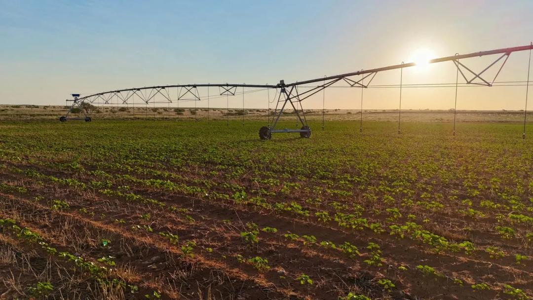 400± Acres Gaines/Dawson County