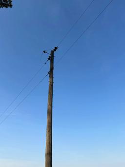 65368252-16