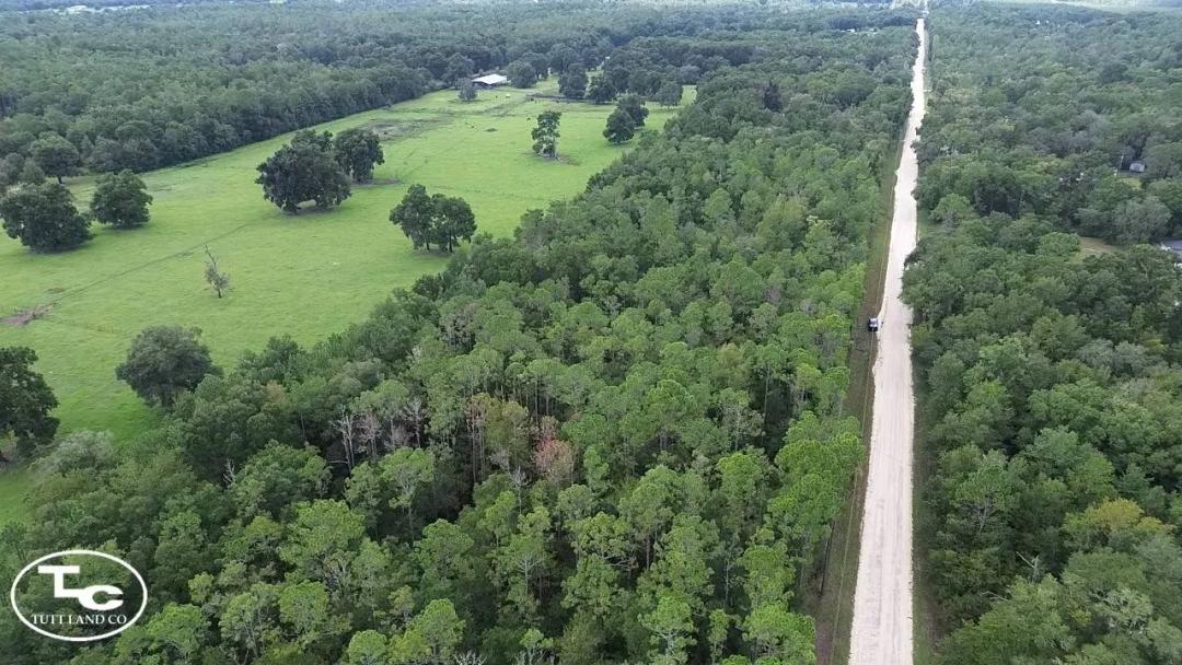 5 +/- Acres - Levy County - Northeast 133rd Ave Tract