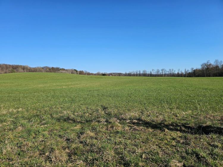 37 acres Farmland in Summerhill NY Cutler School Road
