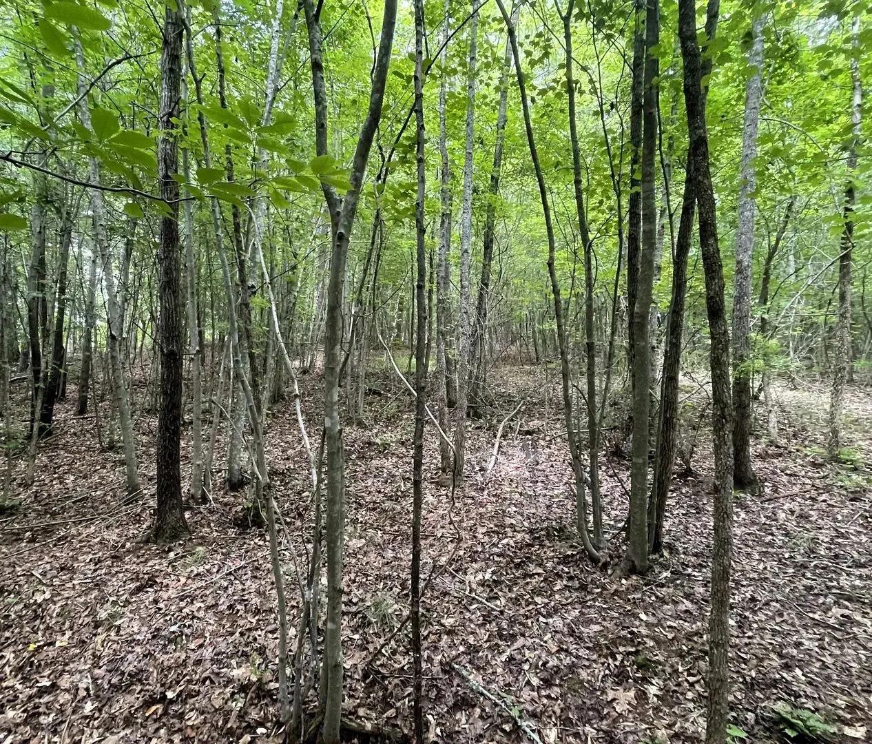 65433668-8