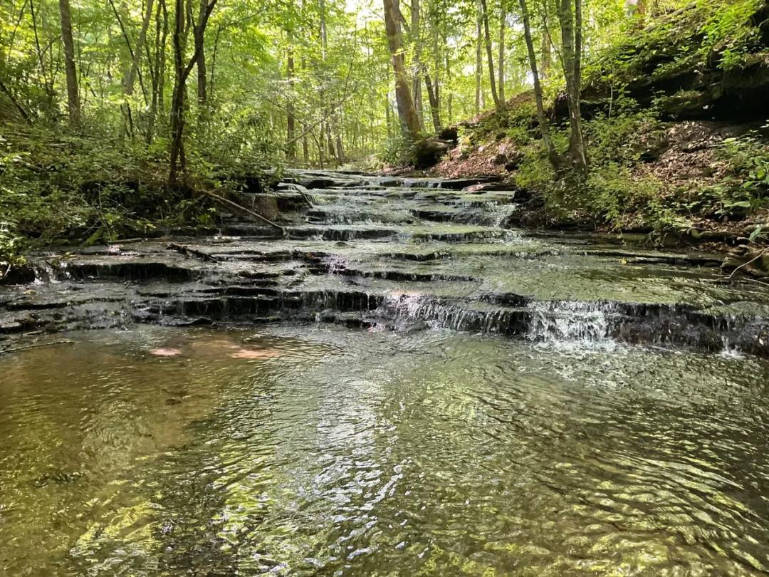 0 Fergus Ln, Tullahoma, TN