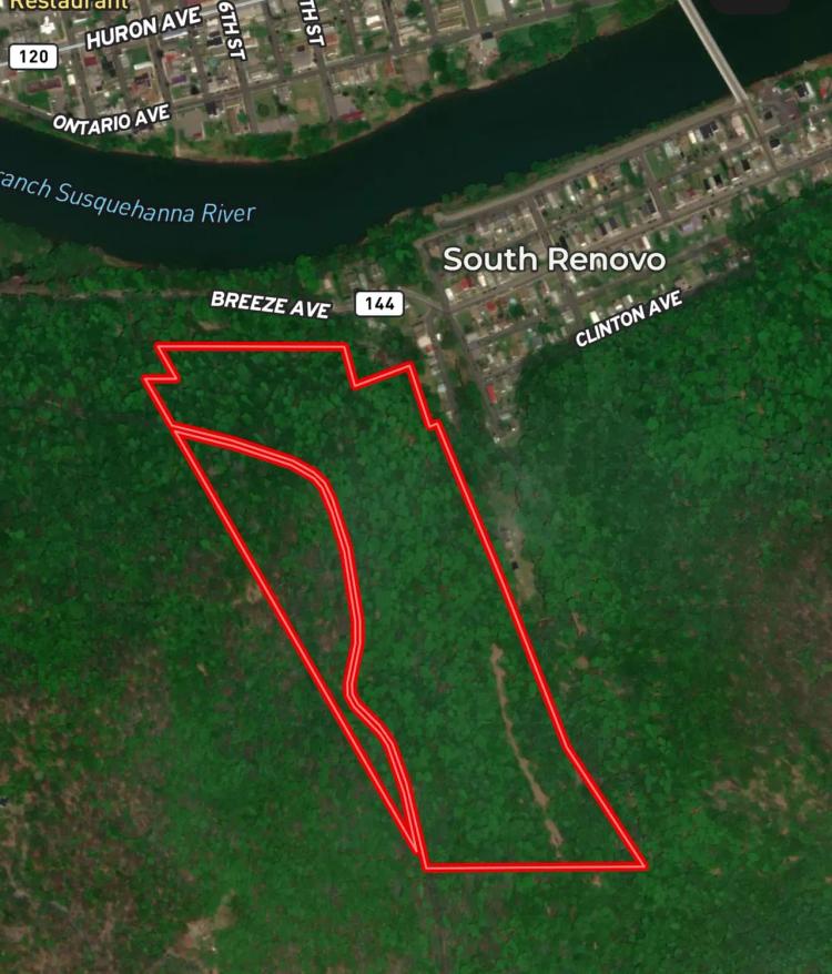 CLINTON COUNTY - PETES RUN ROAD - 46 +/- ACRES