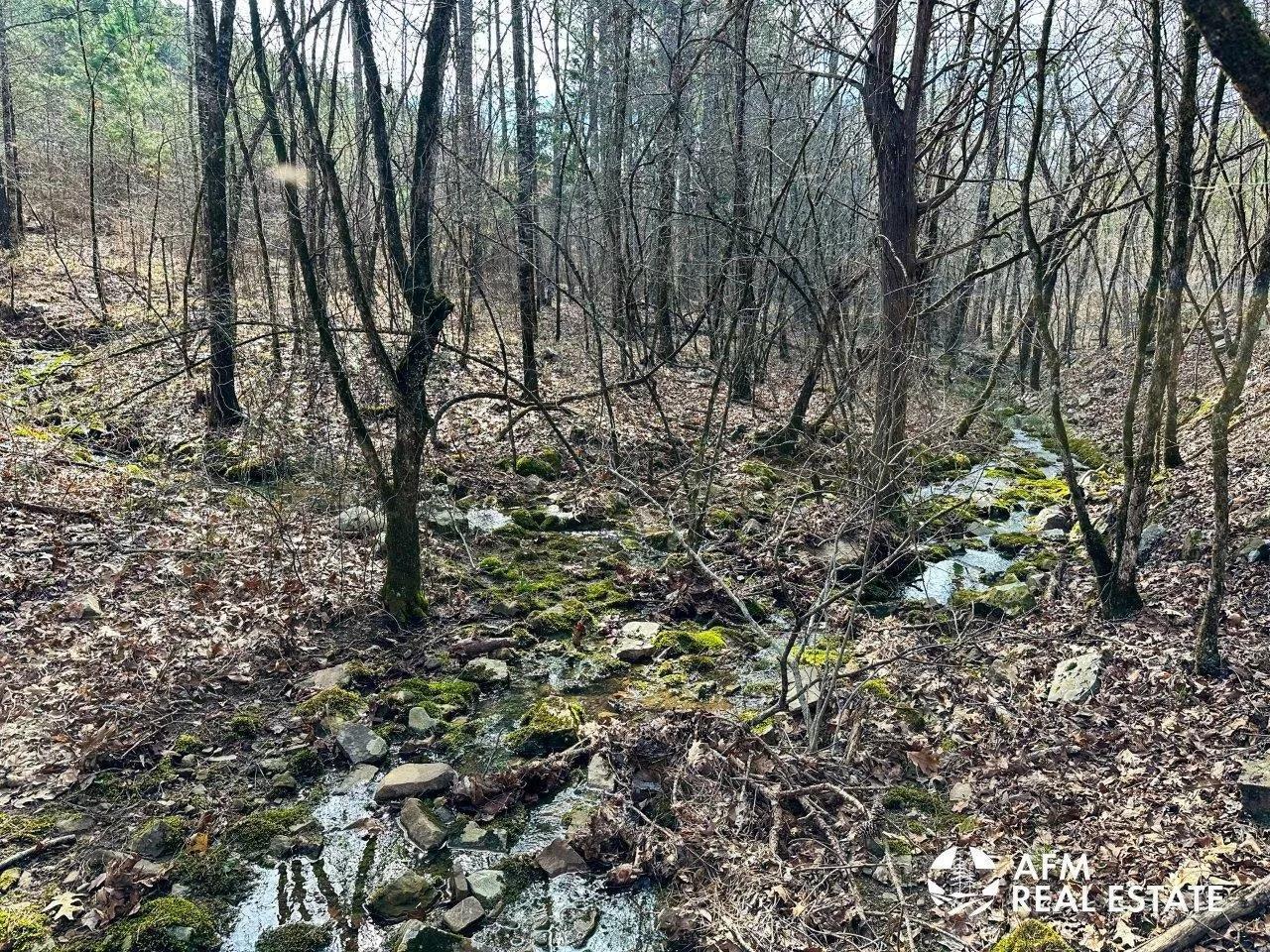 65486492-2