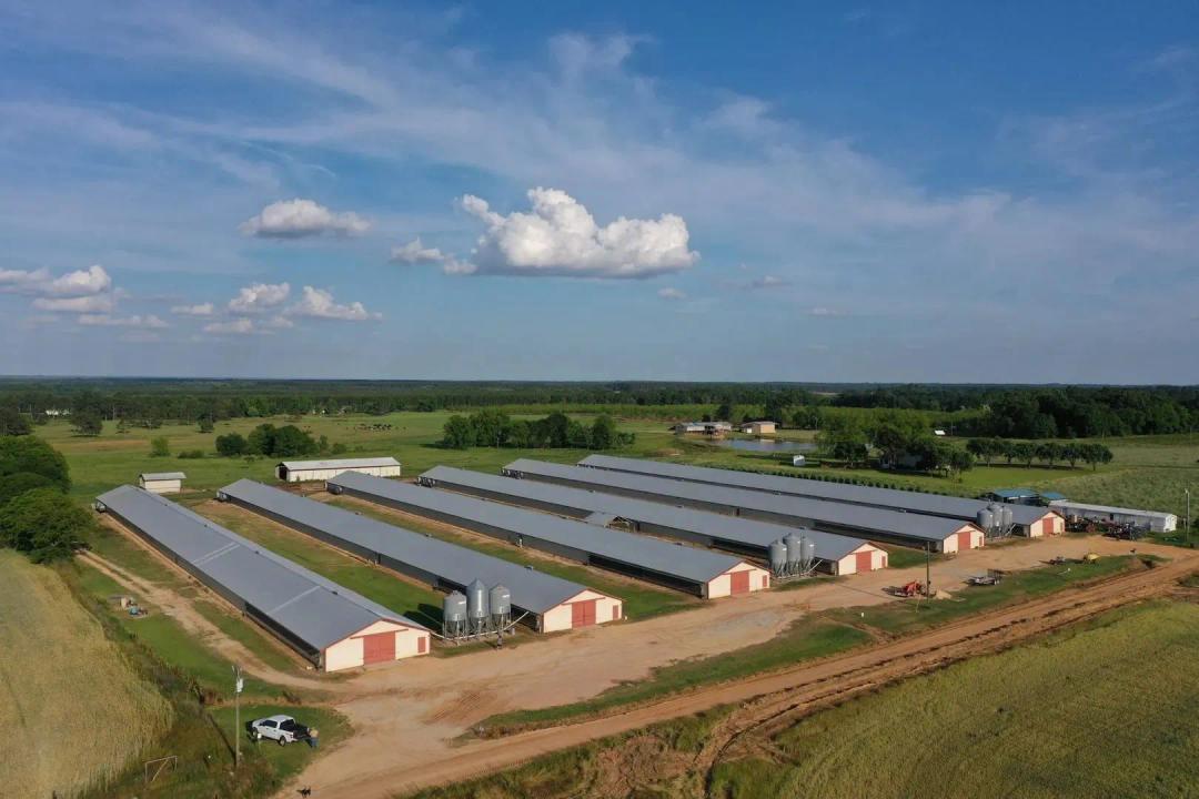 Dayquans Broiler Farm – Six House Farm near Abbeville, Georgia