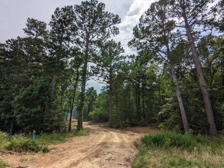 24.92 Acres at TBD Highway 59