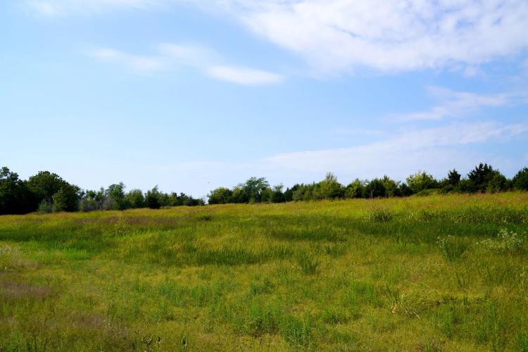 40 Acres of Hunting Land in Stroud, Oklahoma