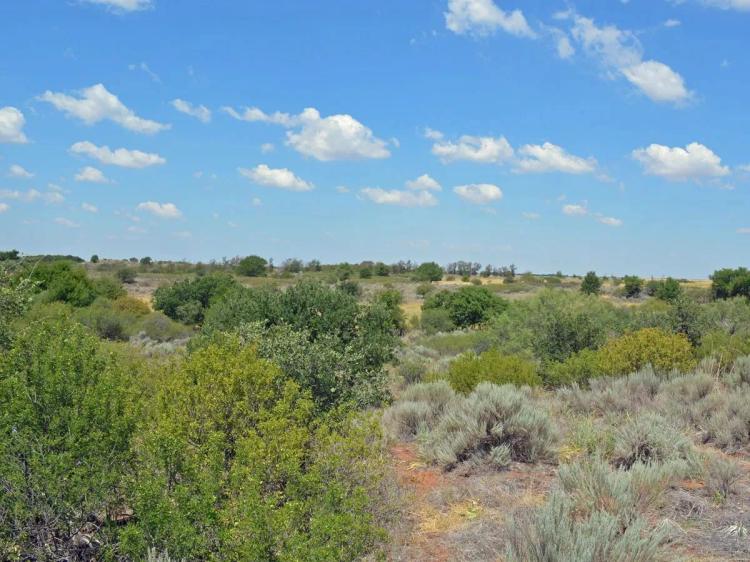 159 ± Acre Oklahoma Hunting Land and Farm in  Grandfield OK