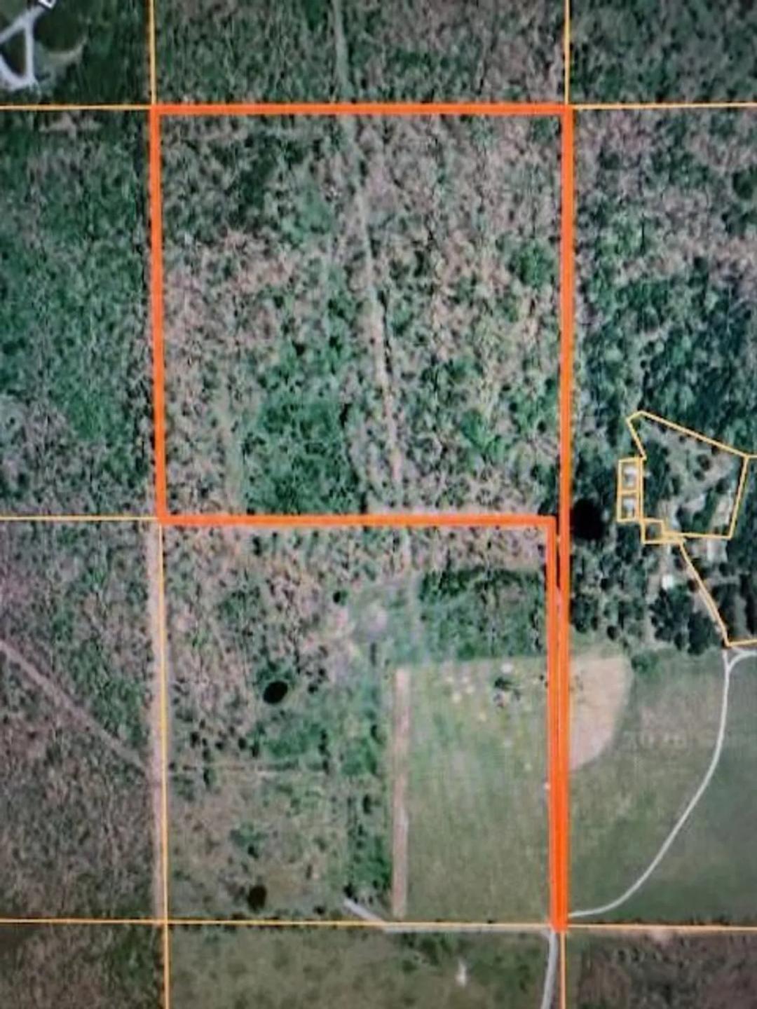 40 acres, Texas County 