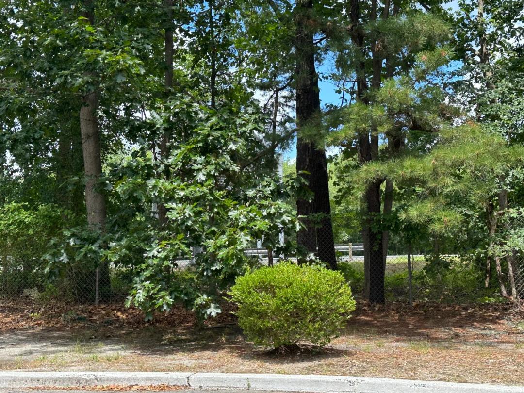 4.09 Acres at 000 Smithburg
