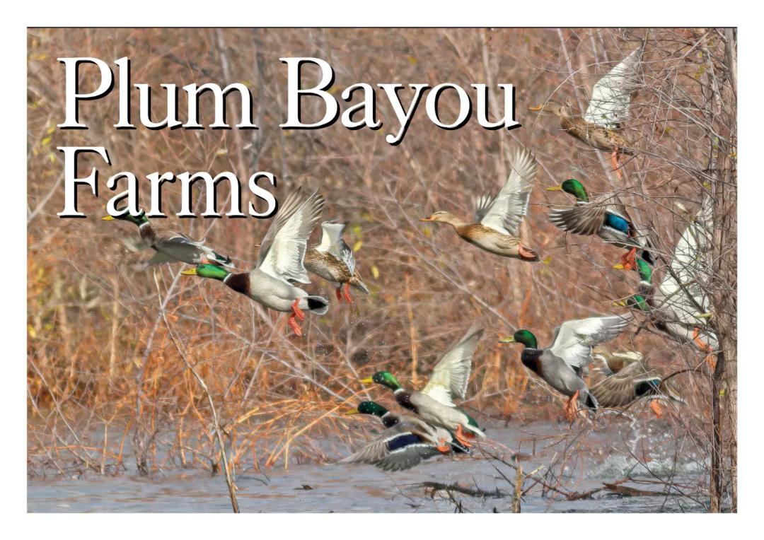 Plum Bayou Farms