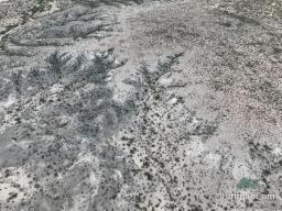 65621352-21