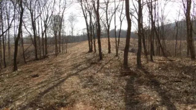 9.37 AC / WATER & ELECTRIC & FIBER OPTICS / BUILDING SITES / NO RESTRICTIONS