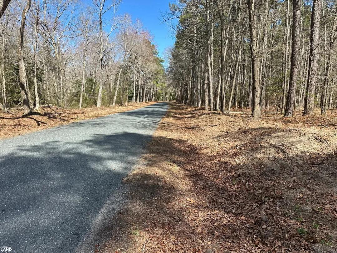 Hurleys Neck 8 Ac