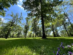 photo_014