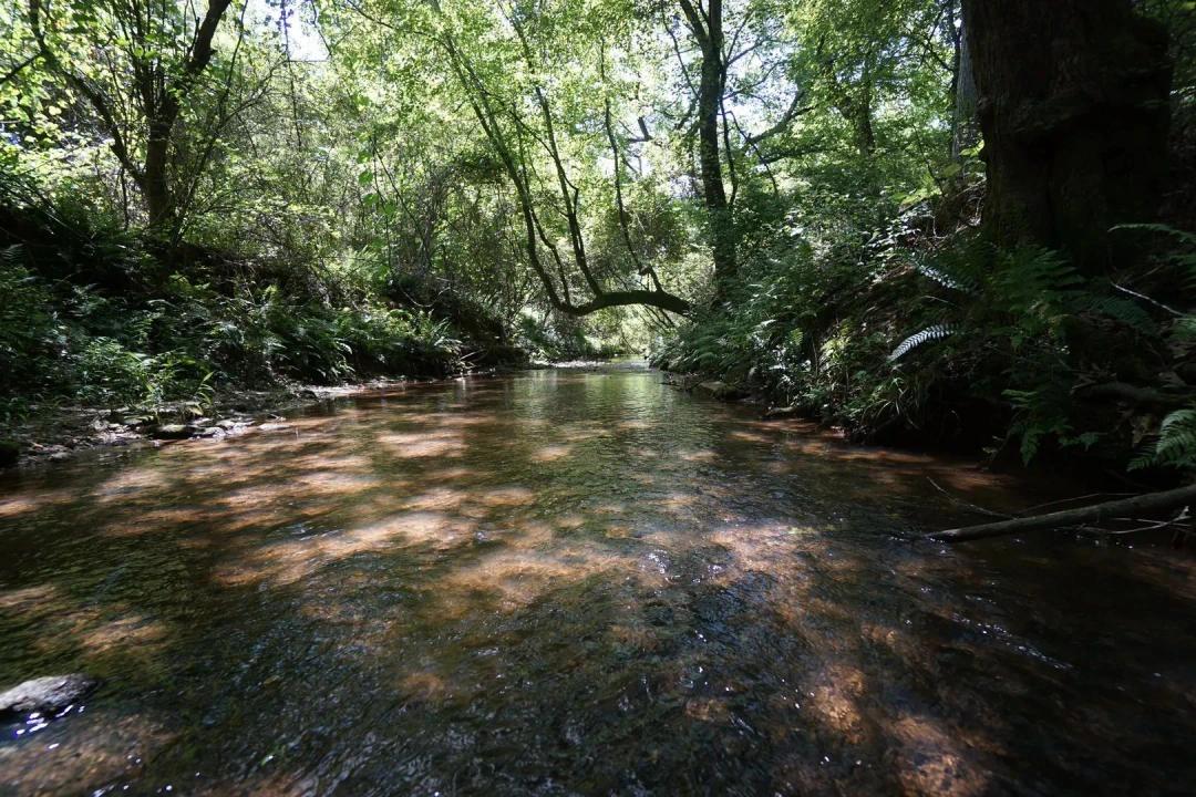 48-Acre Suburban Sanctuary