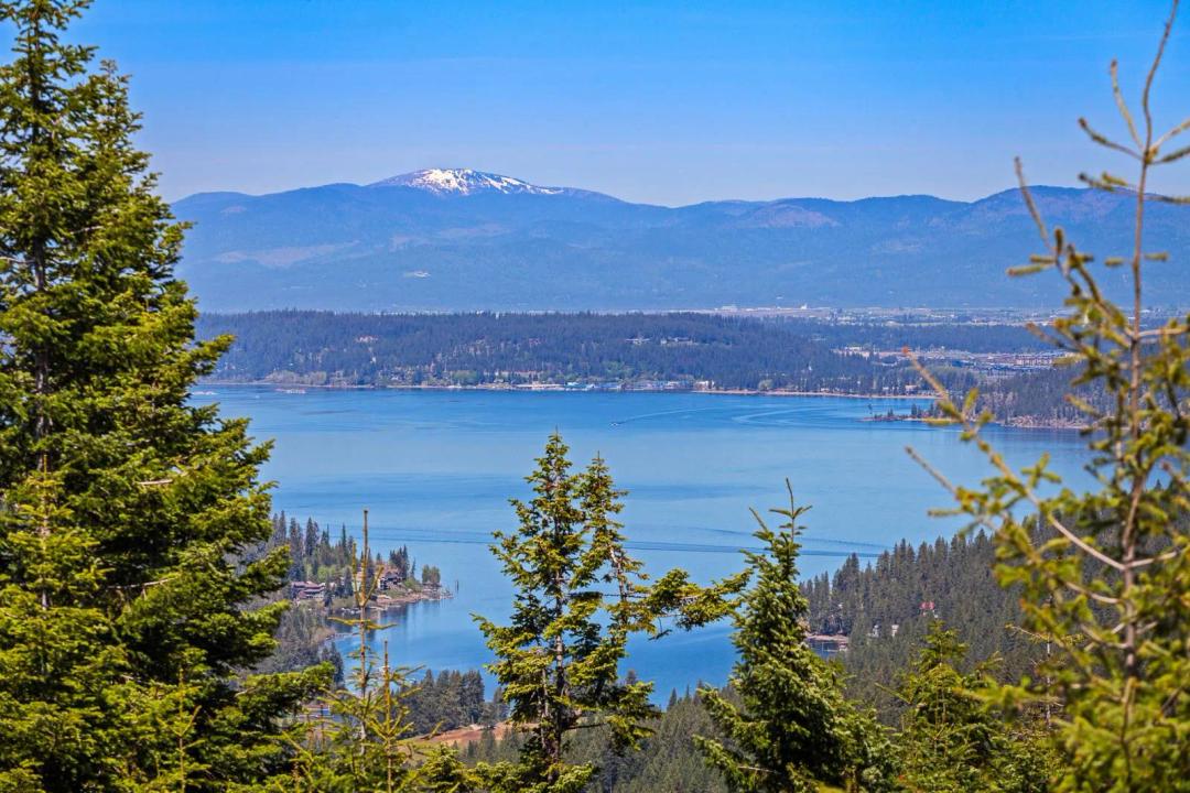 Live the Idaho Dream!