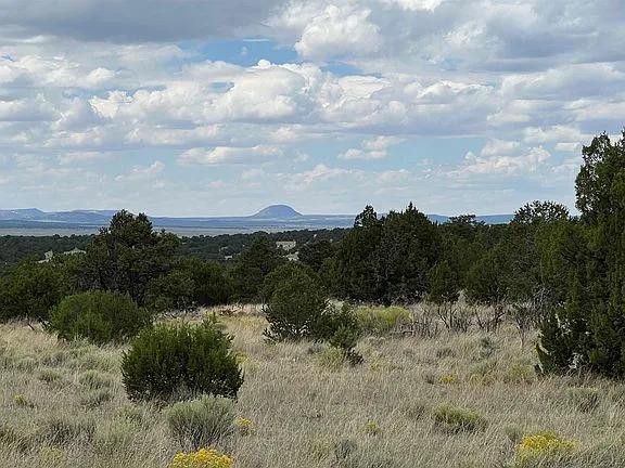 Western New Mexico Ponderosa Views Ranch 11.54 acres