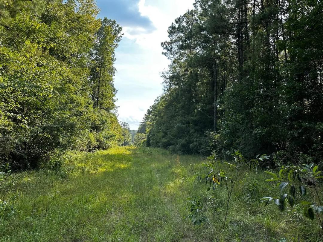753.00 Acres at 0 Benndale Road