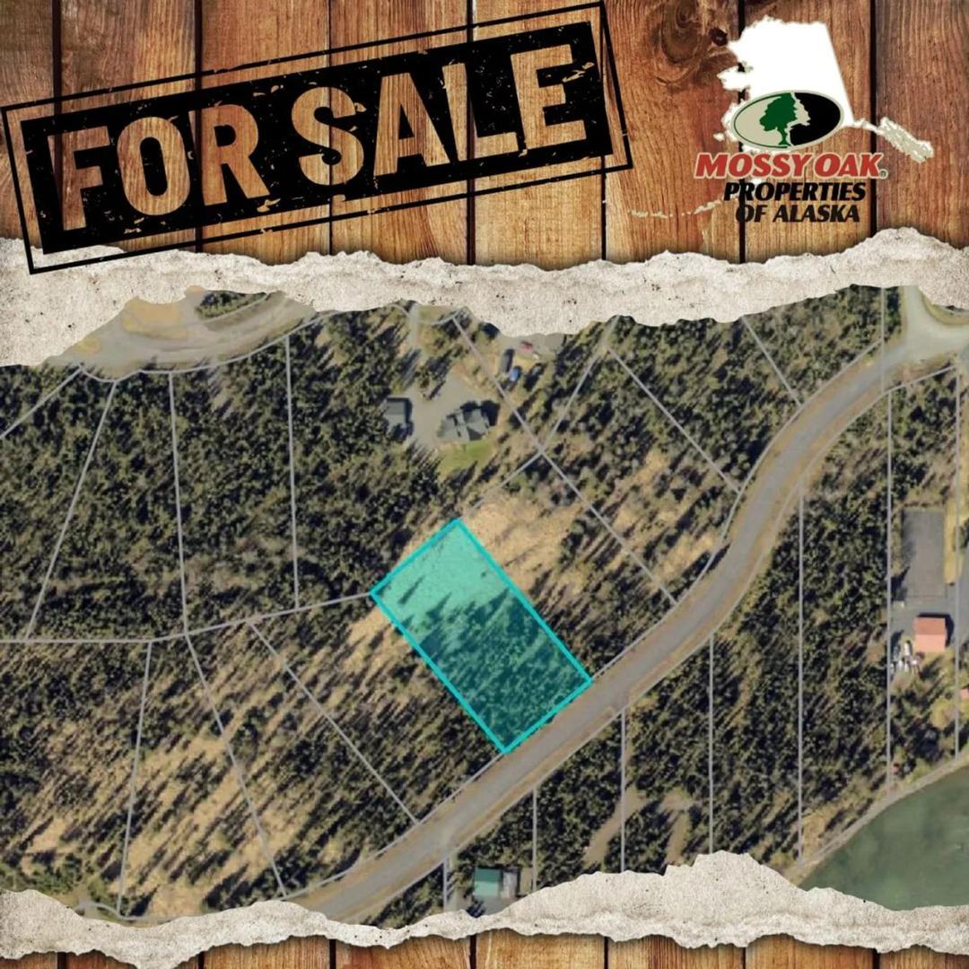 .96 Acres close to river in Soldotna