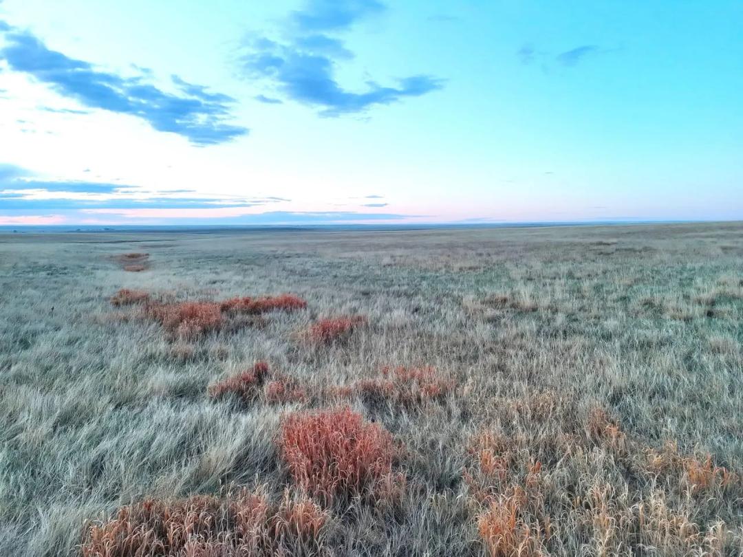 Affordable Parcel of CRP with Good Road Frontage near Denver Metro