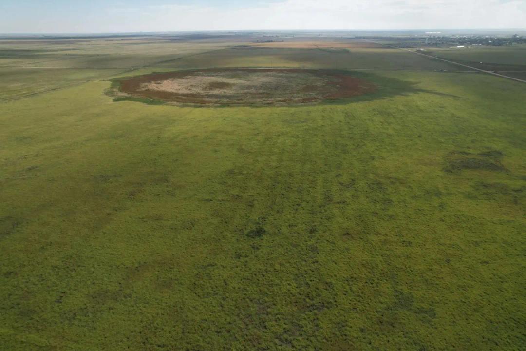 CRP Northwest of Goodwell